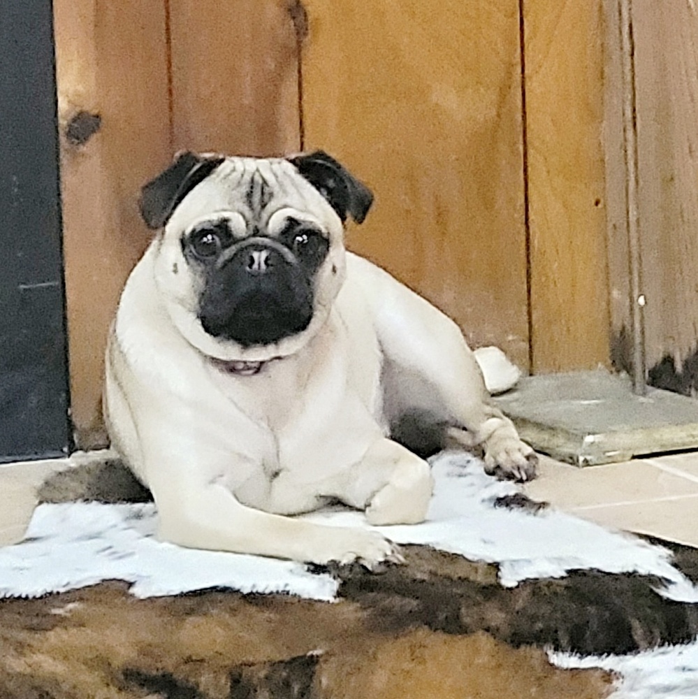 Meet your Posher, Becky